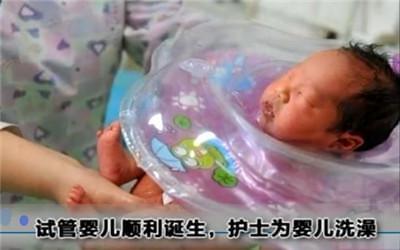 胚胎操作